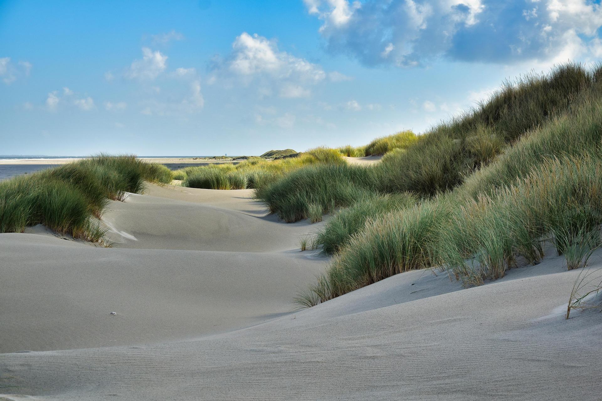 Nederlandse kust